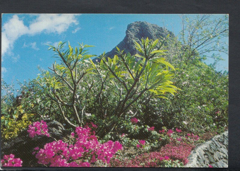 Mauritius Postcard - The Morne    T4161