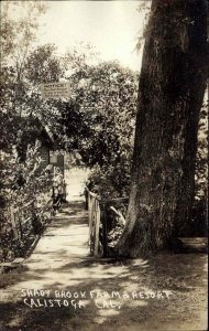 Calistoga California CA Shady Brook Farm Real Photo Vintage Postcard