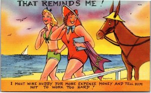 Postcard Comic Women Beach Donkey Reminds Me Wire Hubby More Money