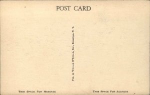 Kingston New York NY Edgewater Camp Catskills Vintage Postcard