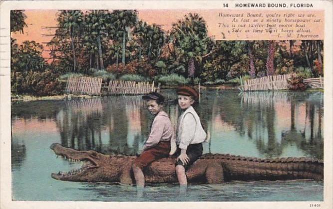 Florida Young Boys Riding Alligator Homeward Bound 1933 Curteich