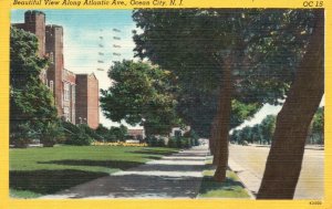 Vintage Postcard 1951 Beautiful View Along Atlantic Ave. Ocean City New Jersey