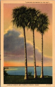 Vtg 1930s Corpus Christi Bay Palm Trees Texas TX Unused Linen Postcard