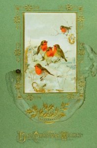 Circa 1910 Lovely Winsch Back Christmas Birds In Snow Green Postcard P36