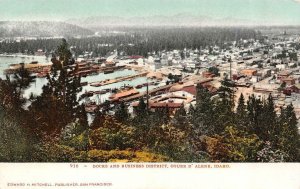 COUER D'ALENE, ID Idaho  DOCKS & BUSINESS DISTRICT~Bird's Eye  c1900's Postcard