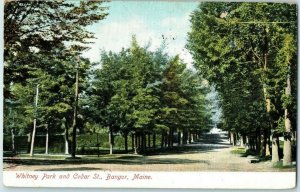 Whitney Park and Cedar St Bangor Maine Postcard Posted 1907