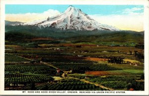 Vtg Oregon OR Mt Hood & Hood River Valley Union Pacific Railroad 1920s Postcard