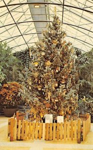 Educational Christmas Tree Cincinnati, Ohio, USA Unused 