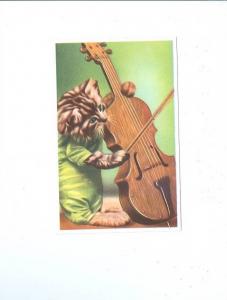 LP33      Animals, Cats, Kitten, violin,  old vintage 