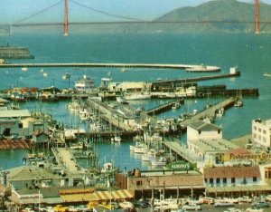 Postcard Bird's Eye Panorama .of Fisherman's Wharf in San Francisco, CA.   S6