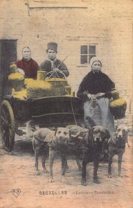 Belgium Laitieres flamandes Brussels Flemish Milk Maid Dog 1919 postcard B915