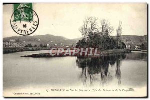 Old Postcard On Hendaye Bidasoa L & # 39Ile Pheasants or Conference