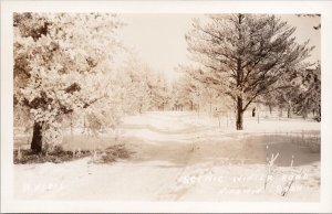 Nipawin Saskatchewan Winter Road Snow SK Unused Weese RPPC Postcard H29