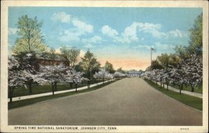 Johnson City Tennessee TN Spring Time Nat'l Sanatorium Vintage Postcard