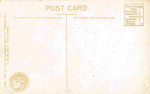 Looking Up 11th Street Tacoma Washington 1910c postcard