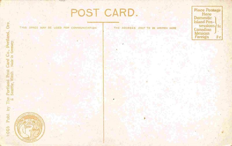 Looking Up 11th Street Tacoma Washington 1910c postcard