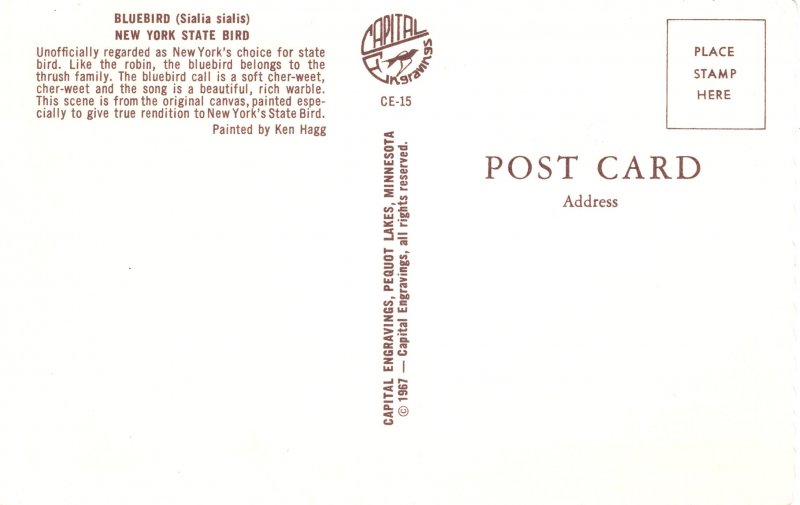 US    PC3664  BLUEBIRD NEW YORK STATE BIRD
