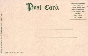 EXCURSION STEAMER SHIP UNCLE SAM POSTCARD (c. 1905)