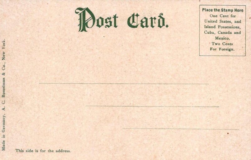 EXCURSION STEAMER SHIP UNCLE SAM POSTCARD (c. 1905)