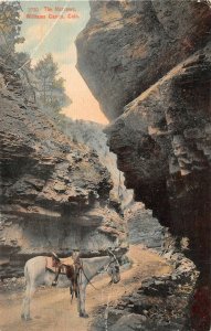 F86/ Williams Canon Colorado Postcard 1910 The Narrows Mule Trail