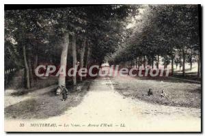 Old Postcard Montereau The Valleys Avenue Hout