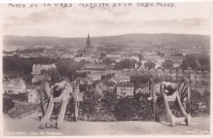 Jonkoping Utsikt Fran Stadsparken Sweden Military Cannon Old Postcard