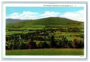 c1930's View Of Oucongena Mountain Middleburg New York NY Vintage Postcard 