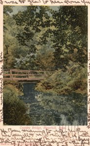 Vintage Postcard 1908 Country Bridge River Forest Trees Haverhill Massachusetts