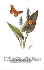Monarch Butterfly & Pickerel Weed Artist RT Peterson Unused 