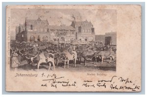 1906 Johannesburg South Africa Market Building Steer Cattle Postcard