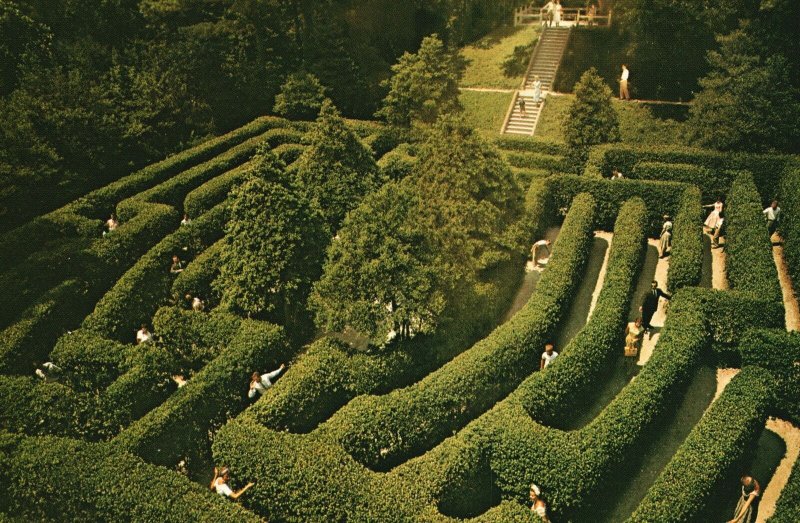 Postcard Governor's Palace Maze Patterned After Hampton Court Williamsburg VA