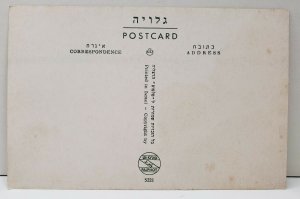 Israel, The Mansion of Bahaullah Bahji Acre Postcard C24