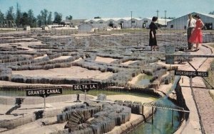 Waterways Experiment Station Corps Of Engineers Mississippi Postcard