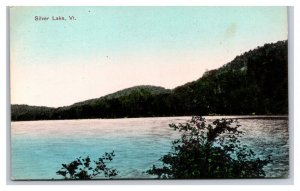 Silver Lake Brandon Vermont VT 1910 DB Postcard T3
