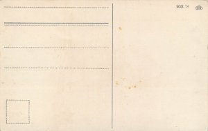 Germany patriotic drawn children flag greetings postcard