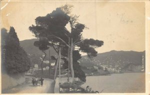 ITALY~RECCO GENOVA-DAI PINI~1907 G GIAMBRUNI REAL PHOTO POSTCARD