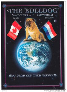 The BULLDOG , Top of the World , 60-80s