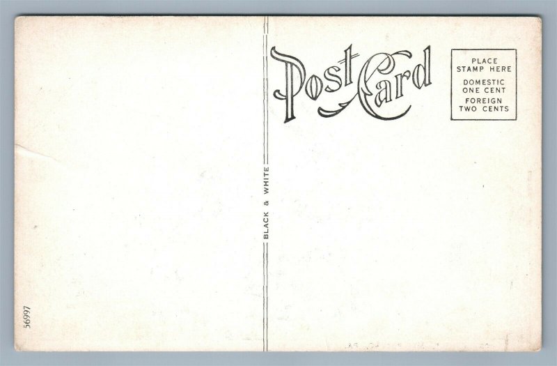MT.POCONO PA POST OFFICE ANTIQUE POSTCARD 