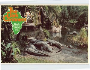 Postcard The Dark Continent, Busch Gardens, Tampa, Florida