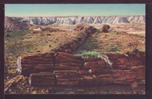Twin Sisters Petrified Forest AZ Post Card 3902