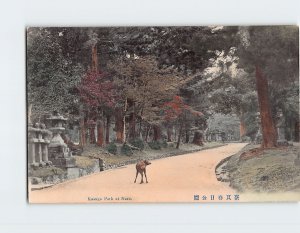 Postcard Kasuga Park at Nara Japan