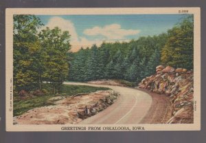 Oskaloosa IOWA c1940s GREETINGS FROM nr Des Moines Pella Sigourney CURTEICH