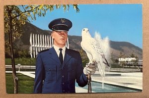 PC UNUSED - CADET  HOLDING MACH 1 - FALCON MASCOT, U.S. AIR FORCE ACADEMY,  COLO