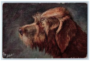 Vienna Austria Postcard Brown Griffon Dog 1914 Posted Antique Oilette Tuck Dogs