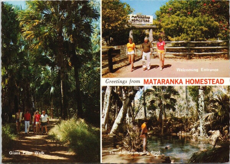 Mataranka Homestead Australia Northern Territory NT Unused Vintage Postcard C3