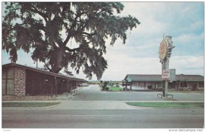 The Carolinian Motel, Swimming Pool, GEORGETOWN, South Carolina, PU-1966