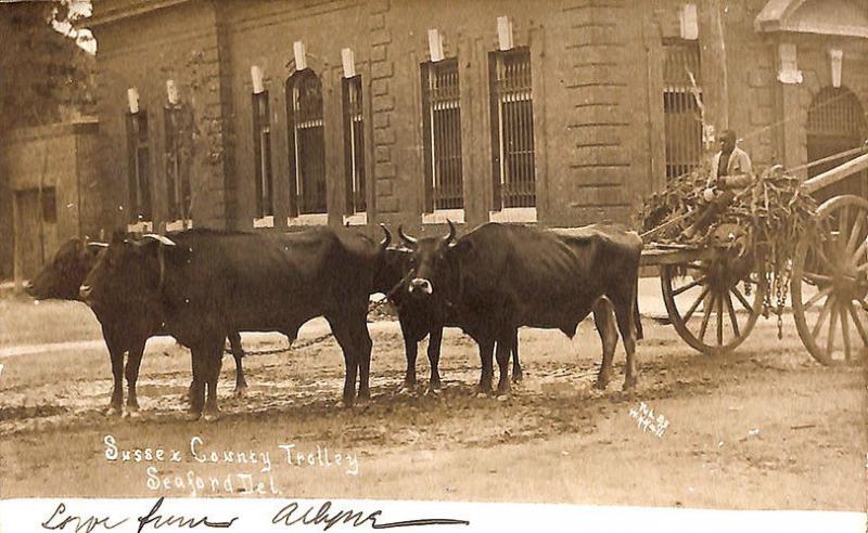 Seaford DE Sussex County Trolley Black Driver Signed W. H. Hall RPPC Postcard