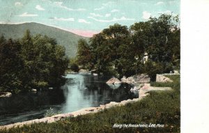 Vintage Postcard Along The Hoosatonic Lee Massachusetts MA Hugh C. Leighton Pub.