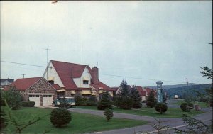 Davis West Virginia WV Stone Motel c1950s-60s Postcard