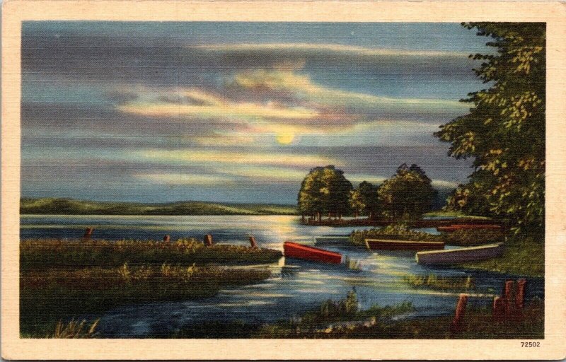 Scenic Lakeside Landscape Moonlight View Boats Forest Linen Postcard 